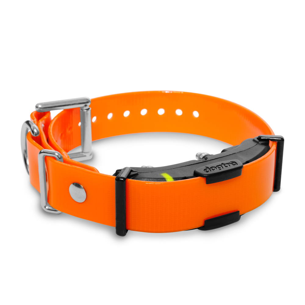 ARC Additional Receiver by Dogtra