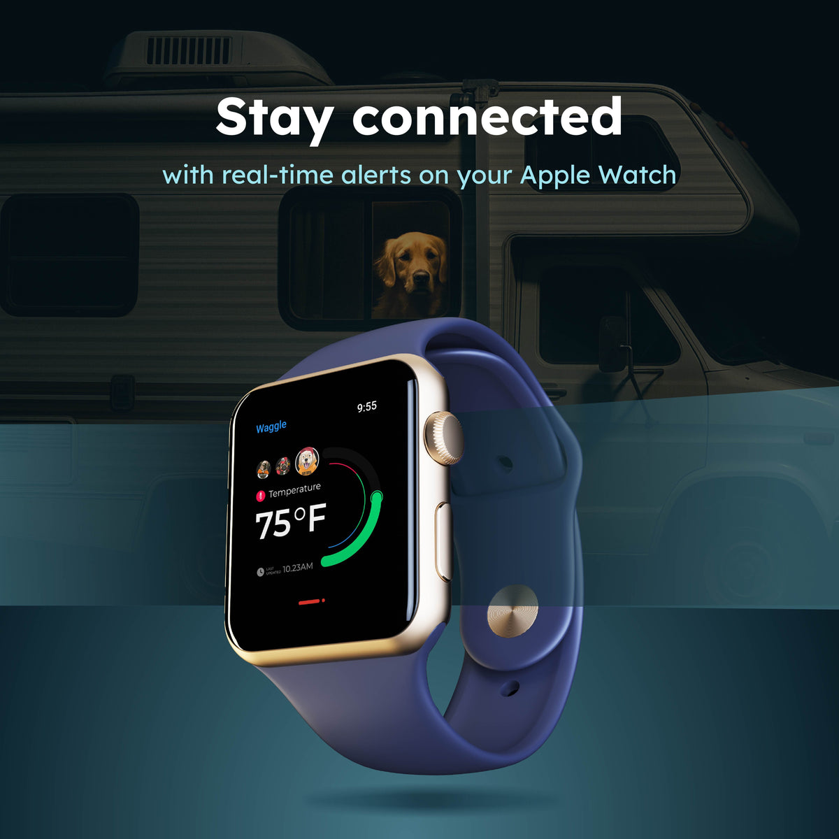 Waggle Lite + Pet Monitor