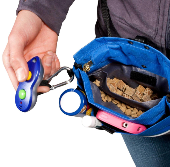 PetSafe Training Pouch