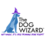 Dog Wizard 