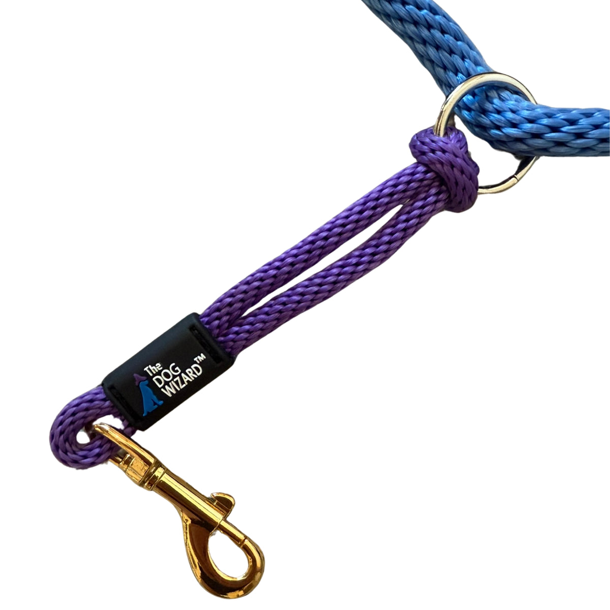 Dog Wizard Safety