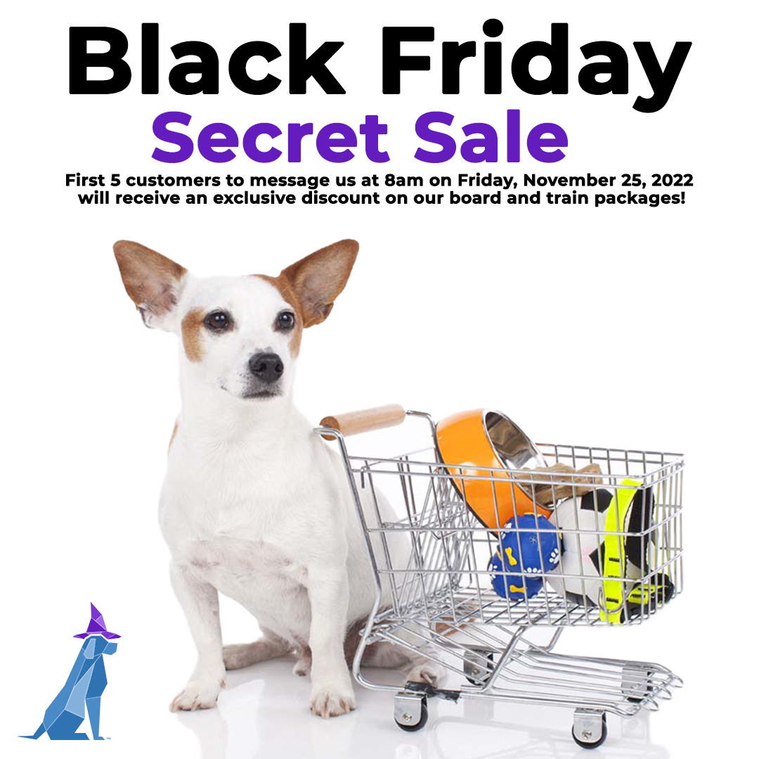 Black Friday Secret Sale Digital Flyer