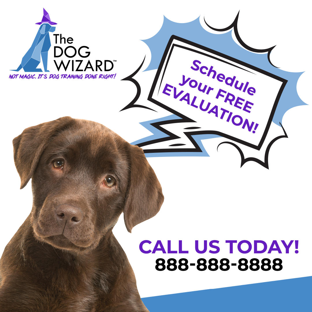 Free Evaluation Digital Flyer