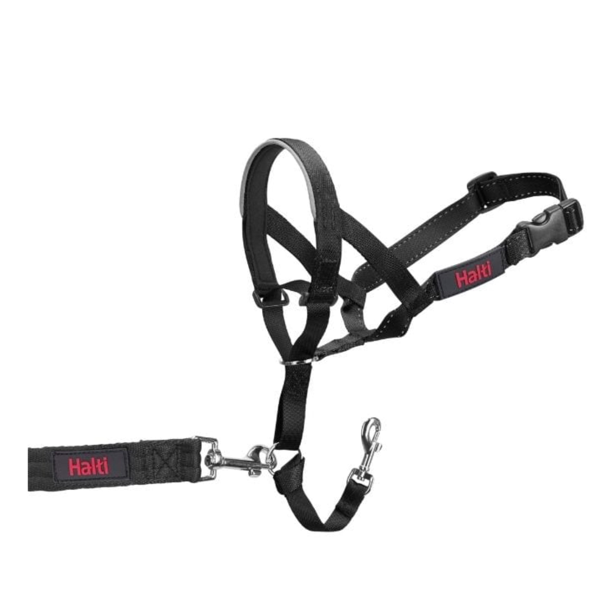 Halti Headcollar