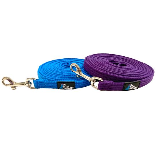 Leashes & Collars