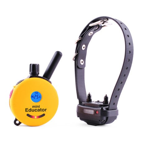 Remote Collars