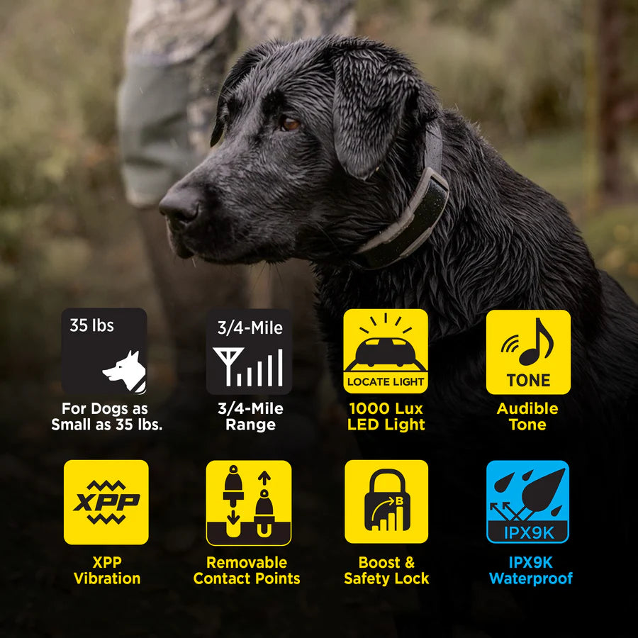 Dogtra 1900X (2-Dog Unit)