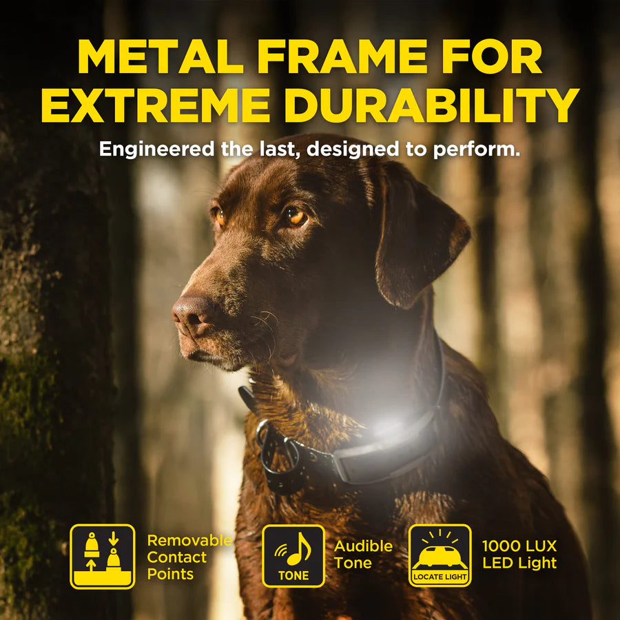 Dogtra 1900X (1-Dog Unit)