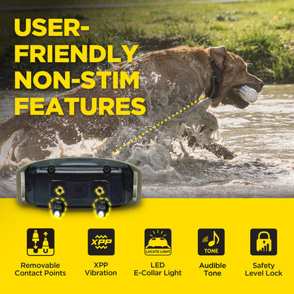 Dogtra 1900X (2-Dog Unit)