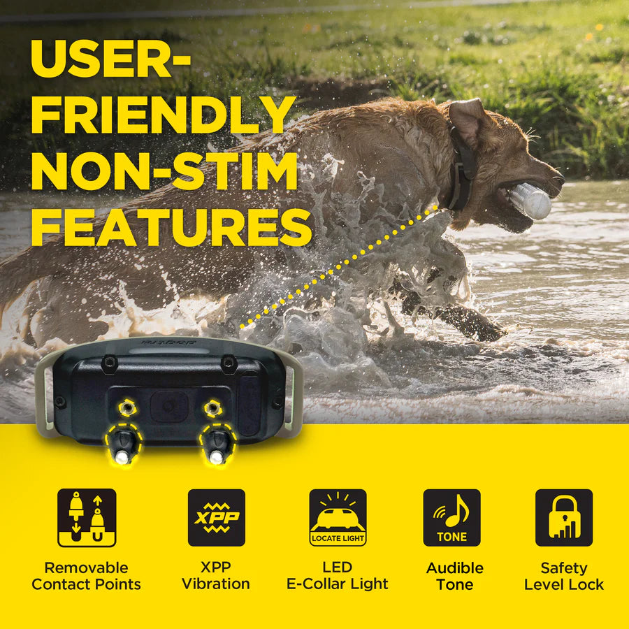 Dogtra 1900X (2-Dog Unit)