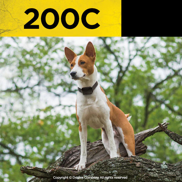 Dogtra 200C Remote Collar
