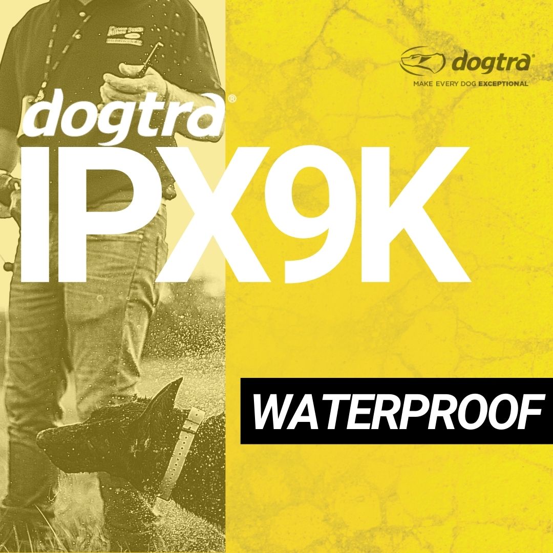 Dogtra 280C (1/2 mile range)