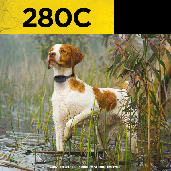 Dogtra 280C (1/2 mile range)