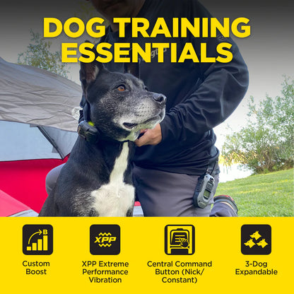 Dogtra 280X (1 dog unit)