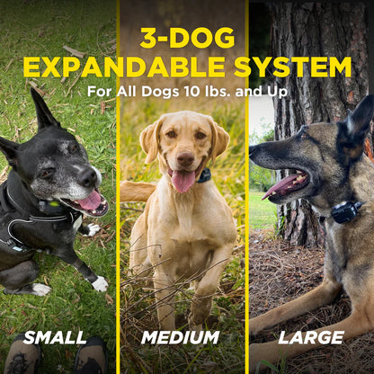 Dogtra 280X (1 dog unit)