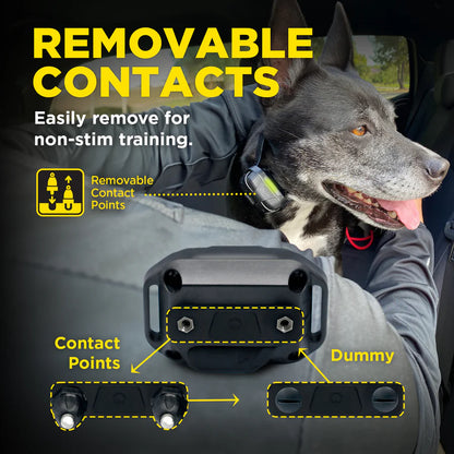 Dogtra 280X (1 dog unit)