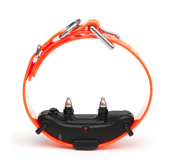 ARC Additional Receiver by Dogtra