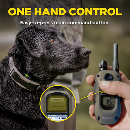 Dogtra 1900X (2-Dog Unit)