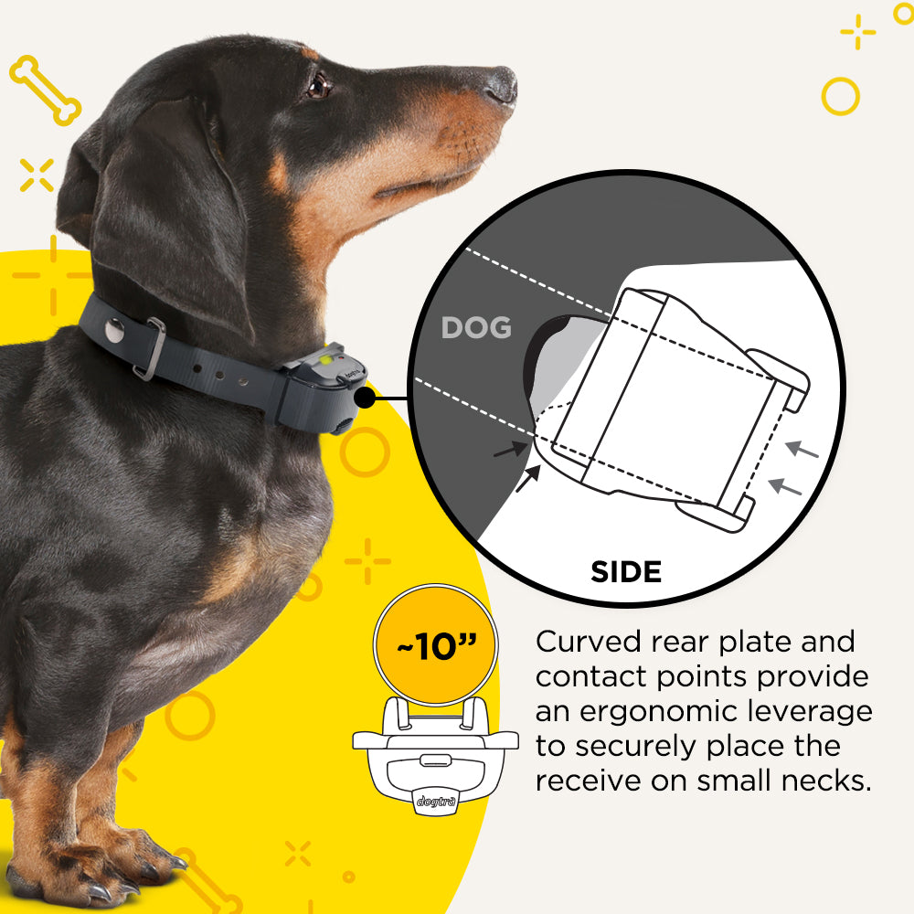 Dogtra IQ Mini