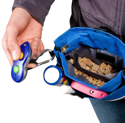PetSafe Training Pouch