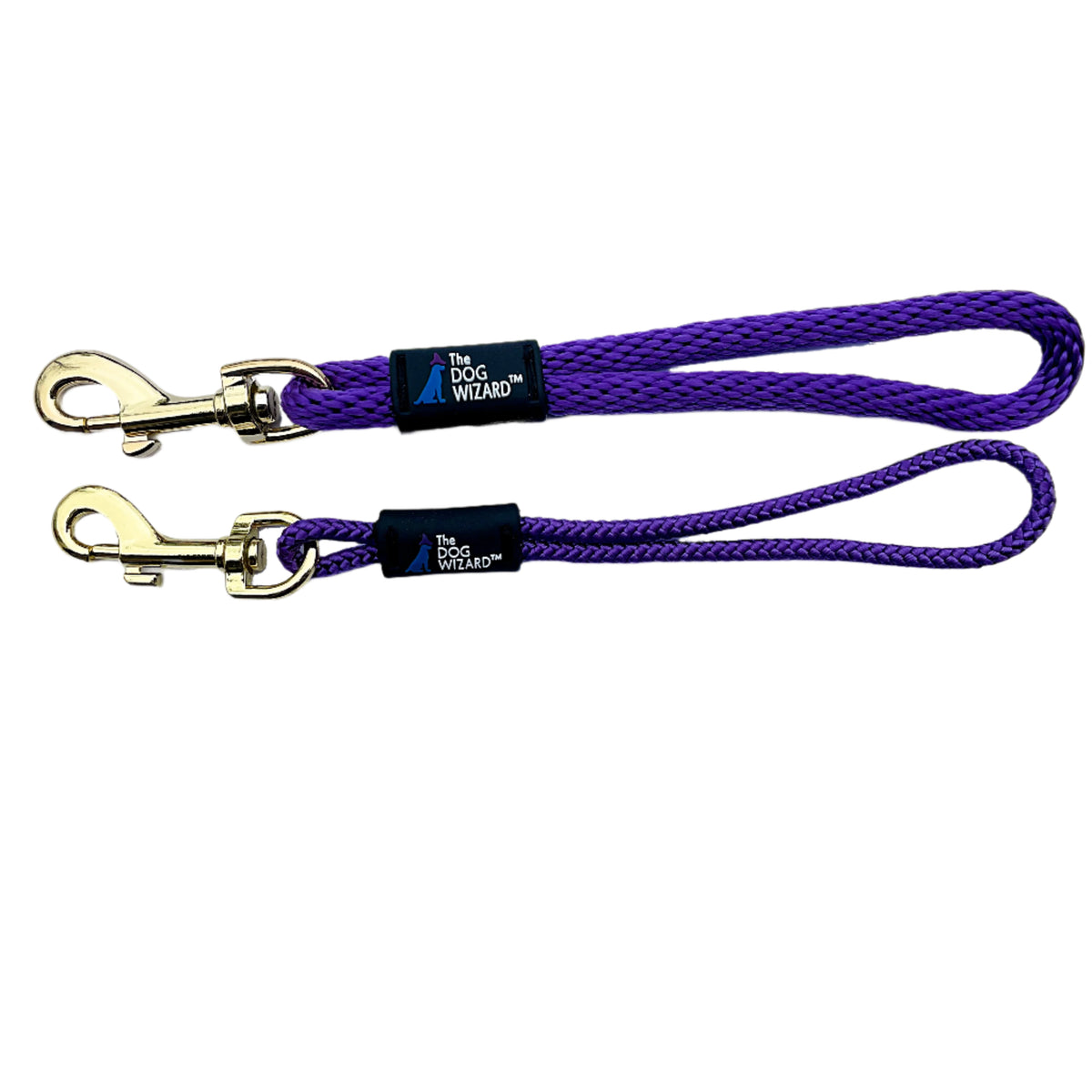 Dog Wizard Safety