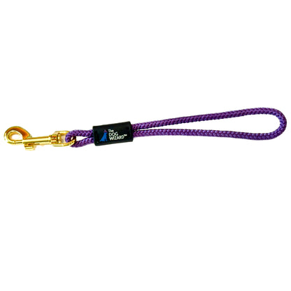 Dog Wizard Safety