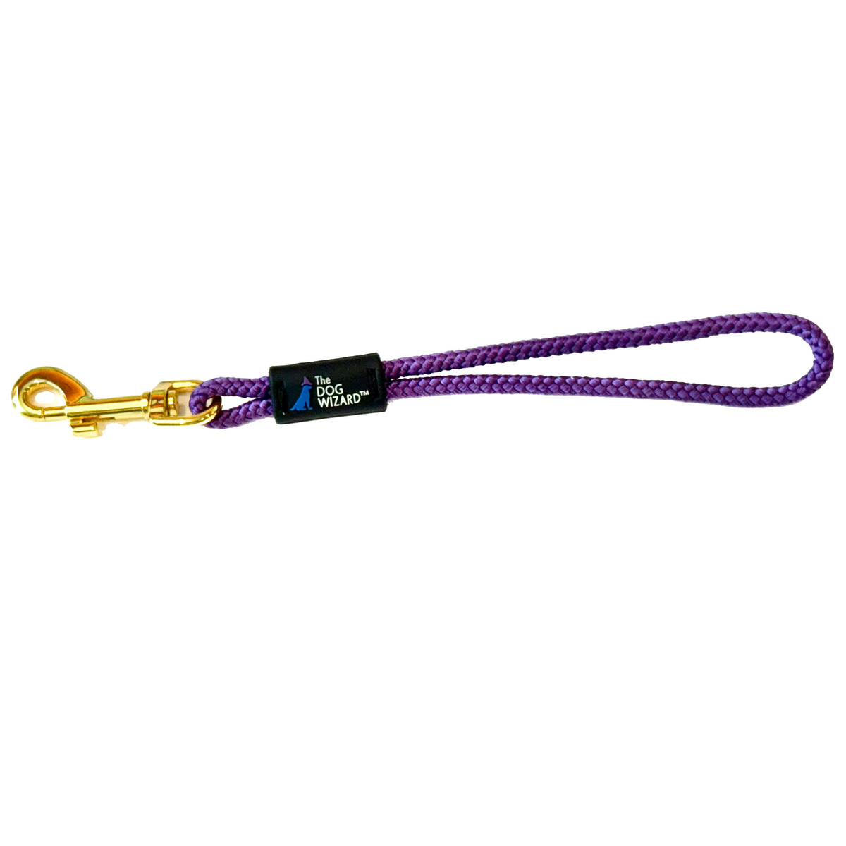 Dog Wizard Safety