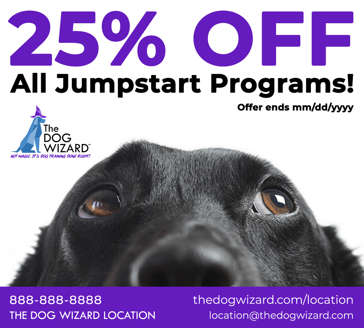 Discount Program Lab Digital Flyer