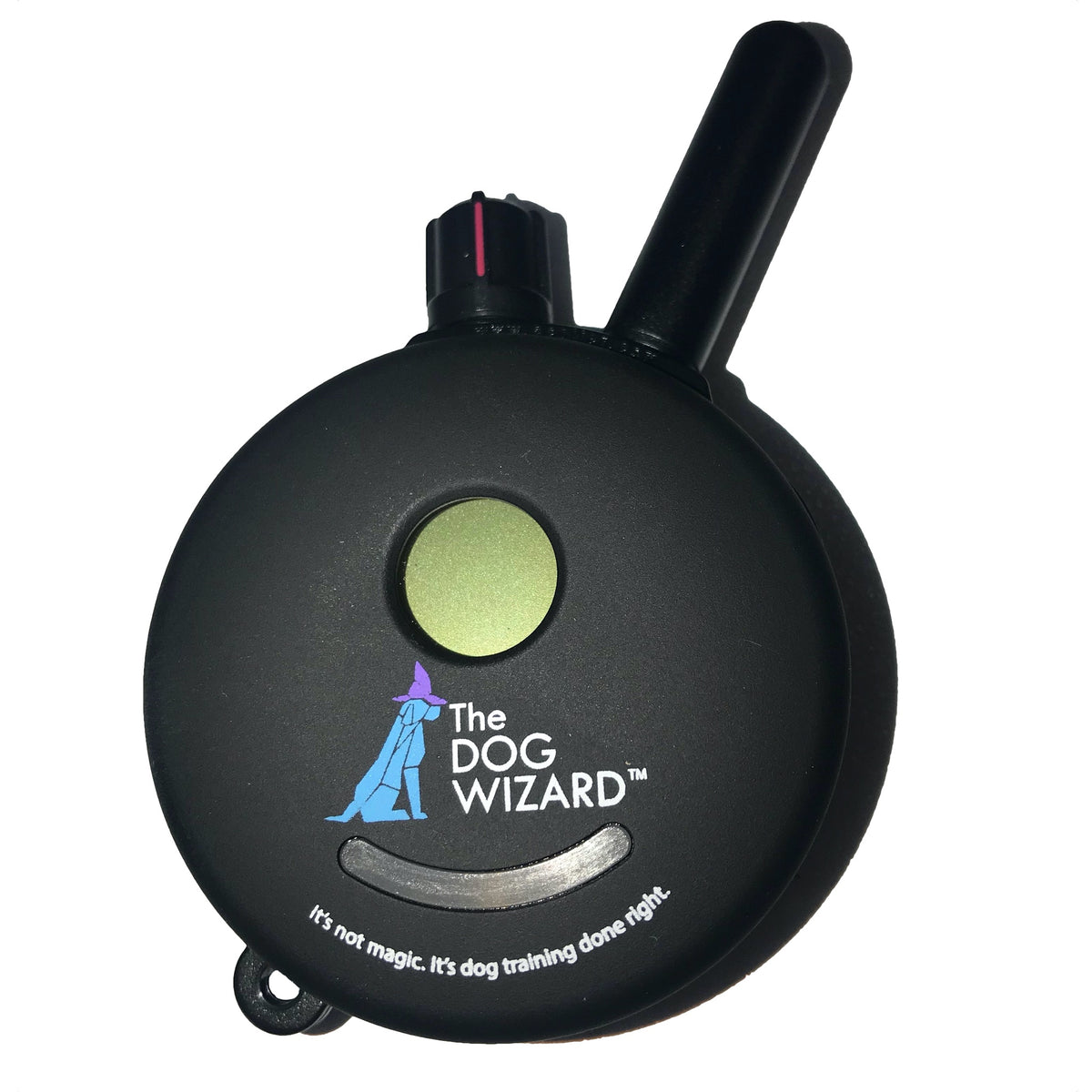 ET 302 MINI REMOTE 2-DOG TRAINER