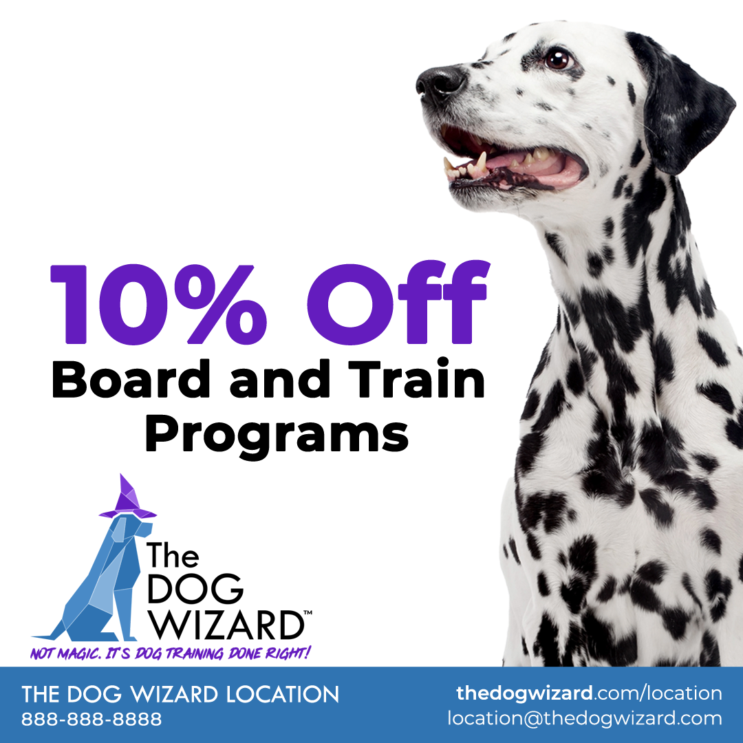 Discount Program Dalmatian Digital Flyer