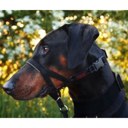 Halti Headcollar