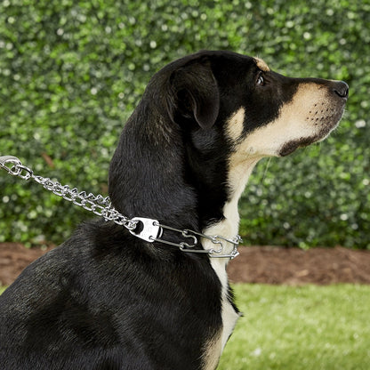 Herms Sprenger ULTRA-PLUS Training Collar with Center-Plate and Assembly Chain