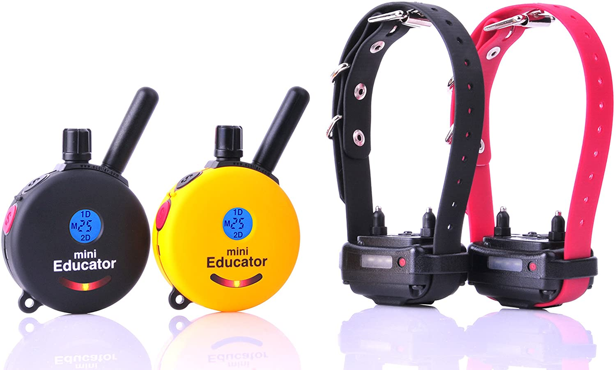 ET 302 2T (2 COLLARS 2 REMOTES)