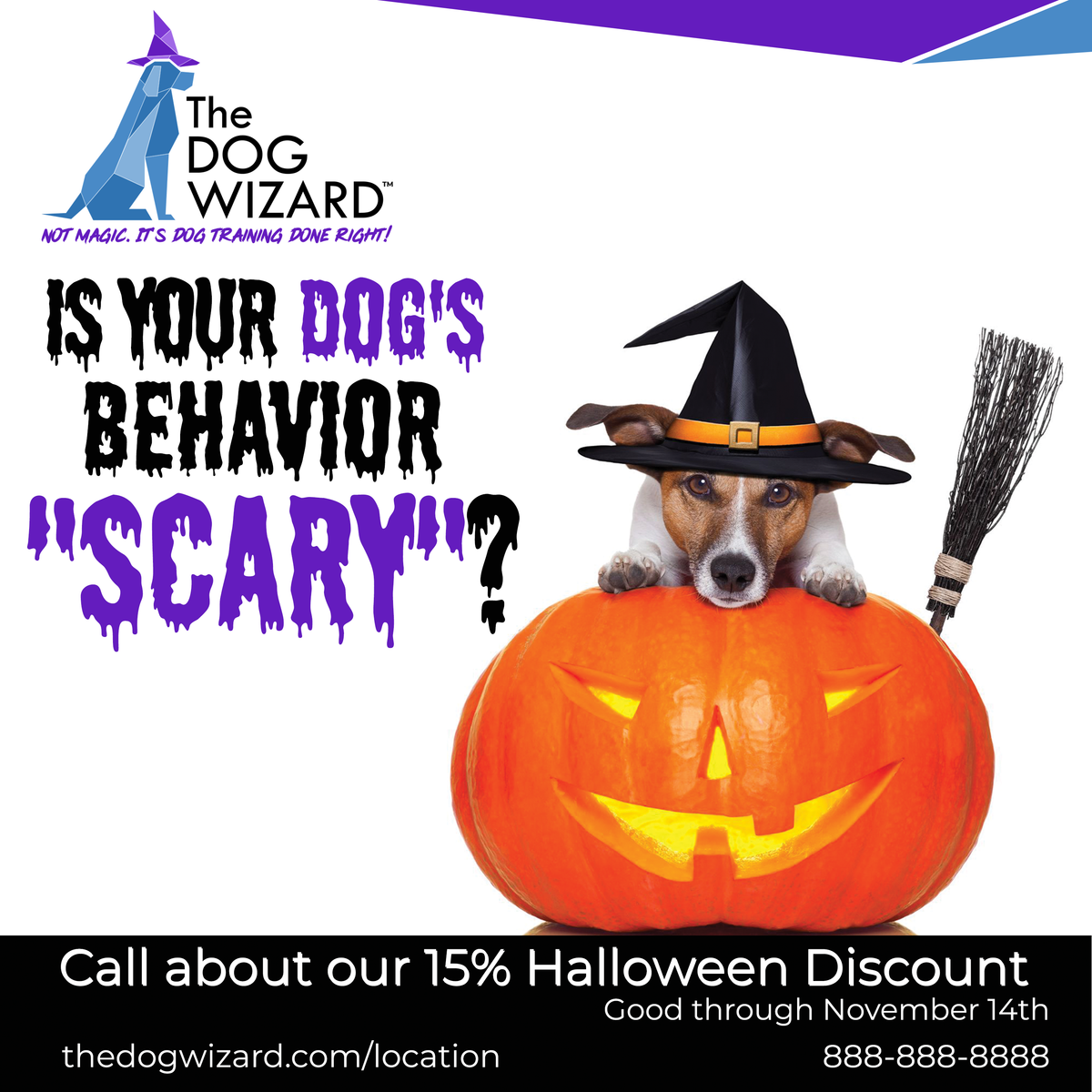 Halloween Discount Digital Flyer