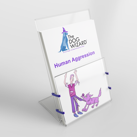 Behavior Informational Pamphlets