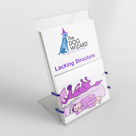 Behavior Informational Pamphlets