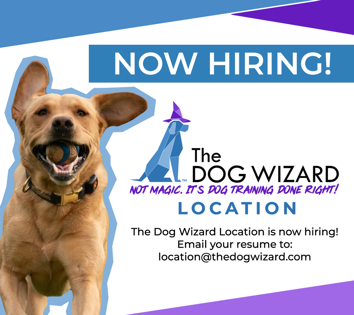 Now Hiring Digital Flyer