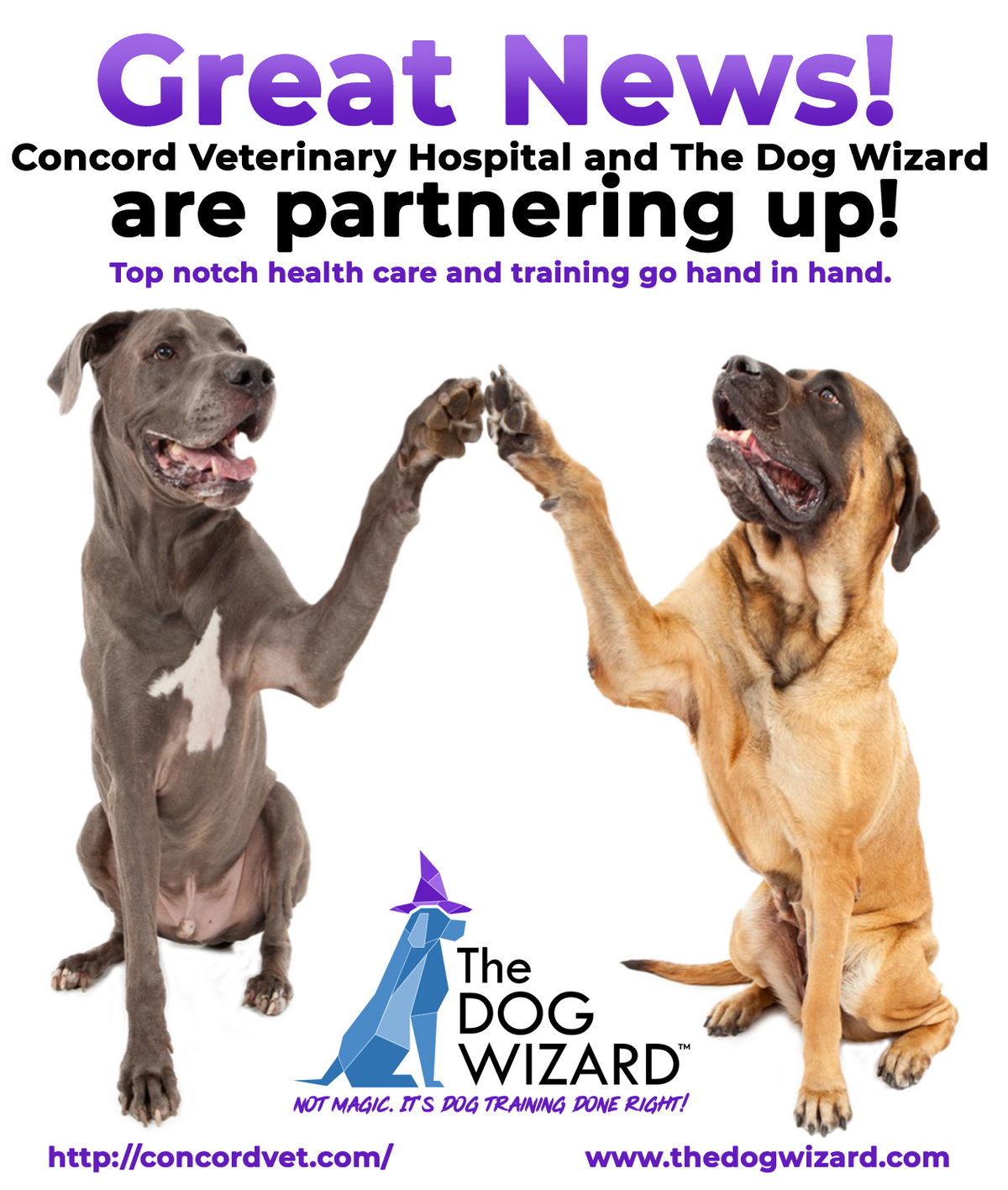 Partnership Digital Flyer