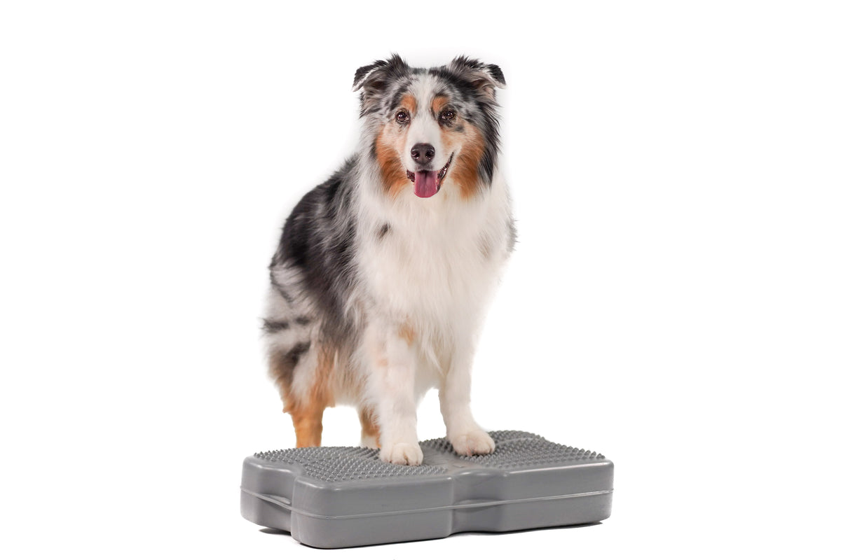 Propel Air Platform