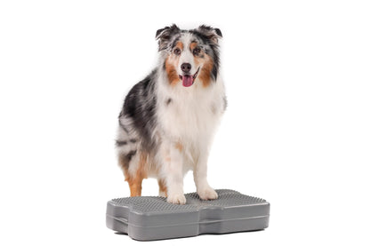 Propel Air Platform