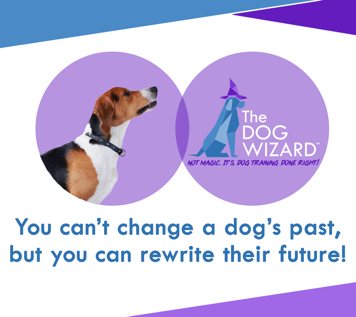Rescue Dog Digital Flyer