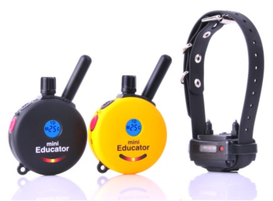 ET300-2T MINI EDUCATOR WITH DOUBLE TRANSMITTER