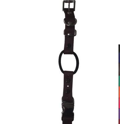 ET 302 2T (2 Collars 2 Remotes) AND bungee/quick snap collar straps