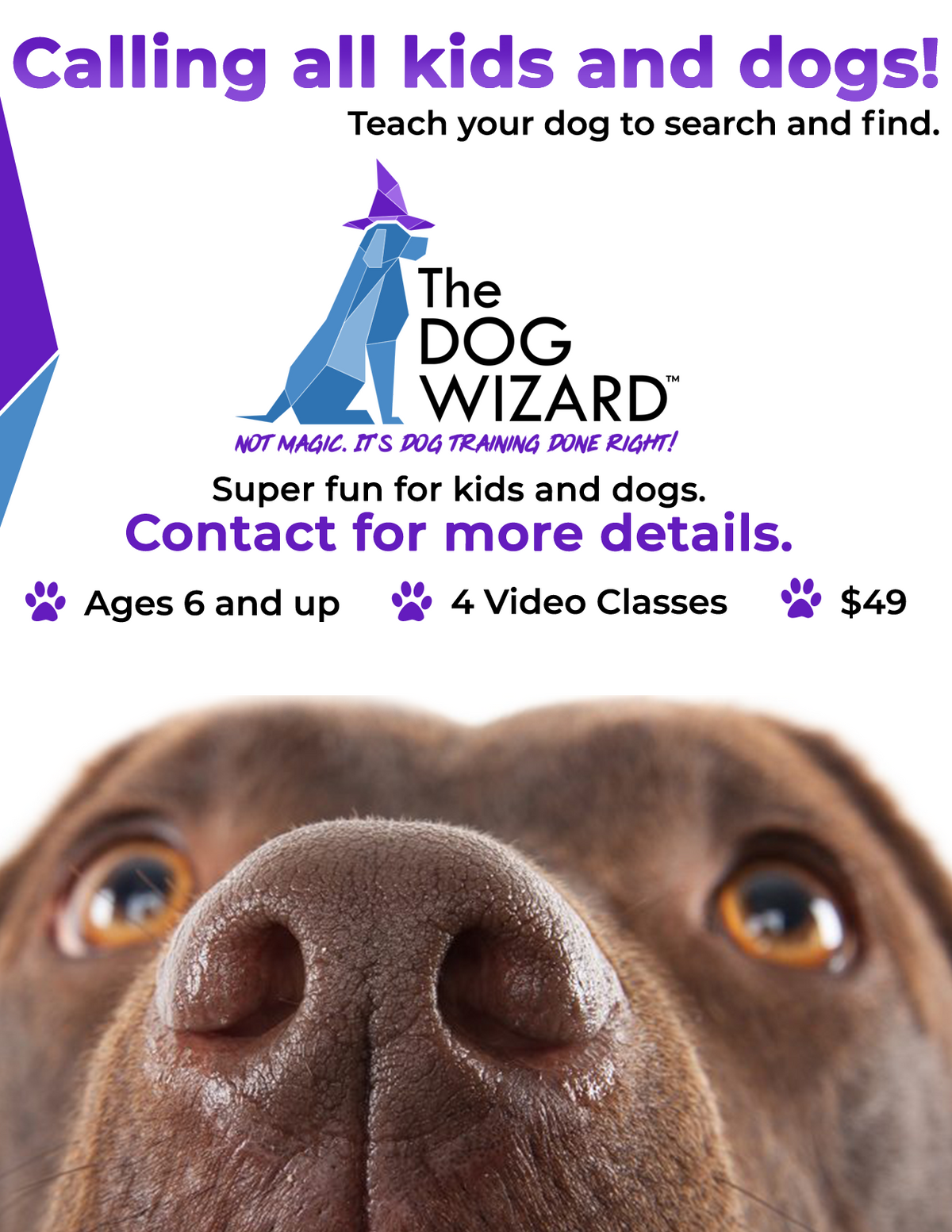 Search and Find Lab Digital Flyer