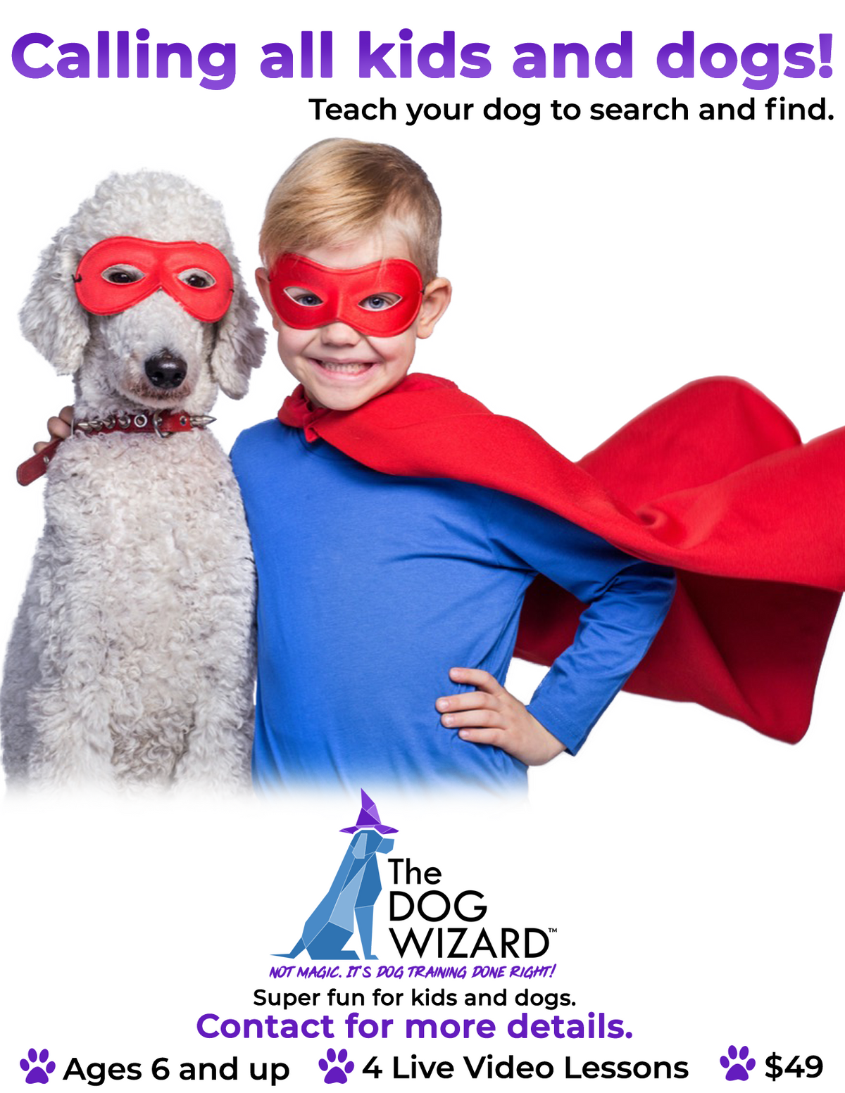 Search and Find Poodle Digital Flyer