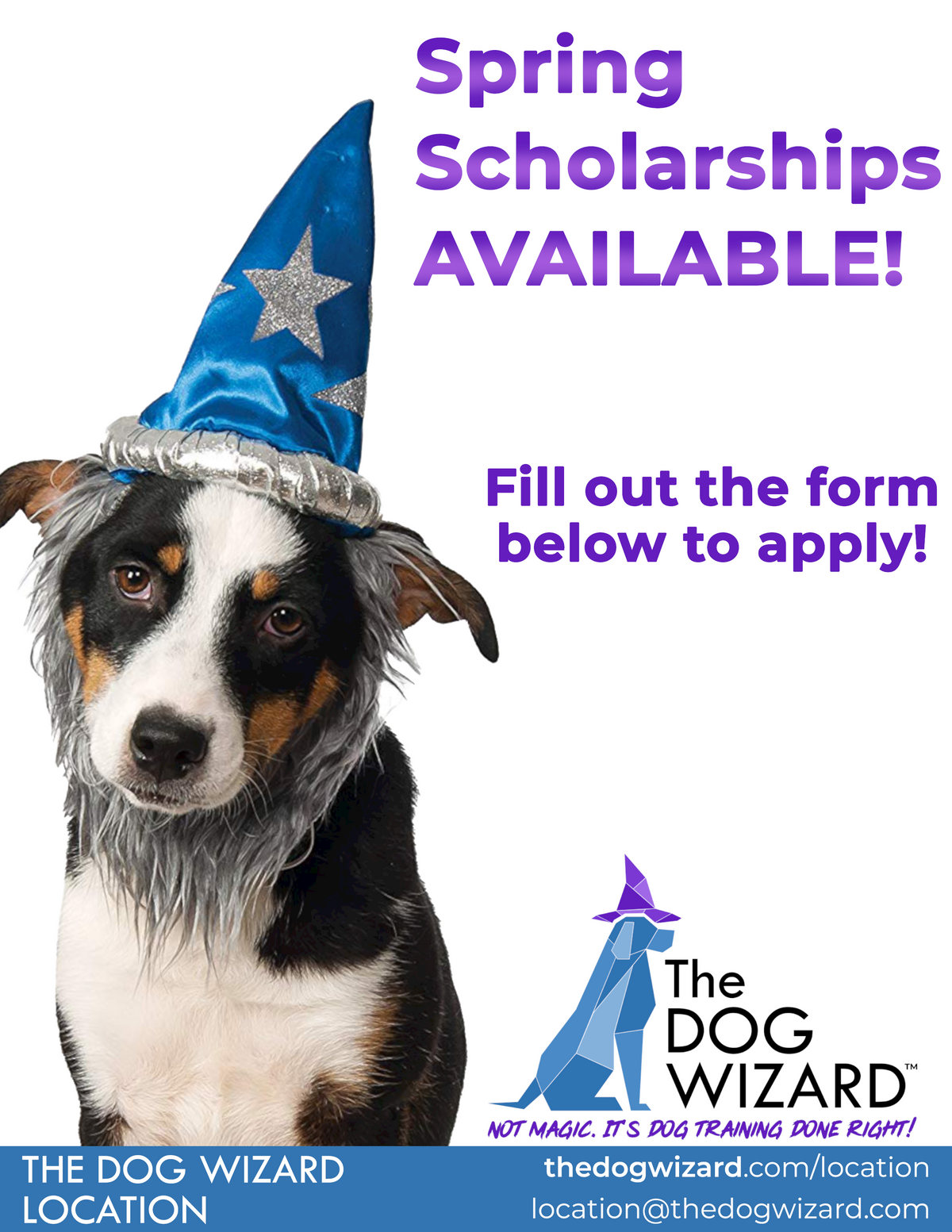 Spring Scholarship Digital Flyer