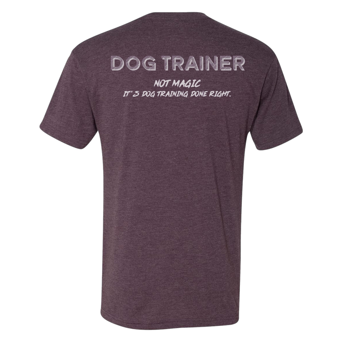 Dog Wizard Tri-Blend Unisex T-Shirt