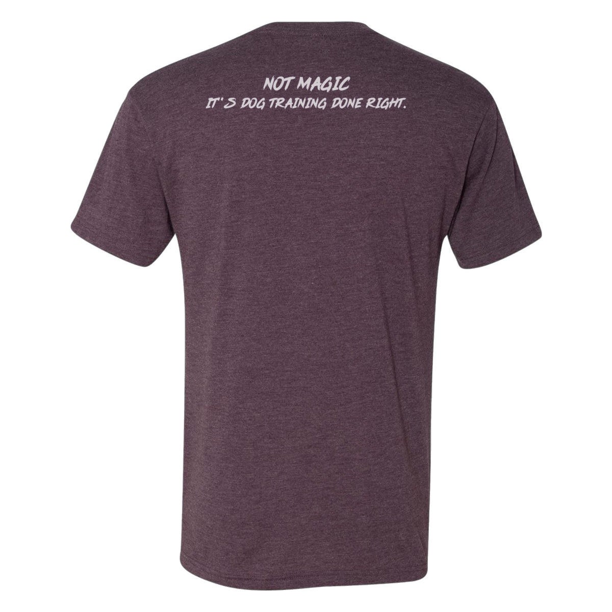 Dog Wizard Tri-Blend Unisex T-Shirt