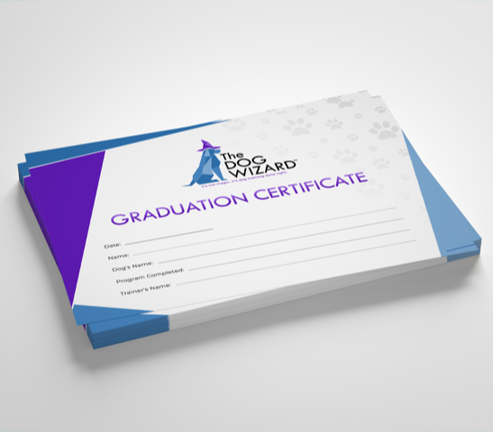Graduation Certificates